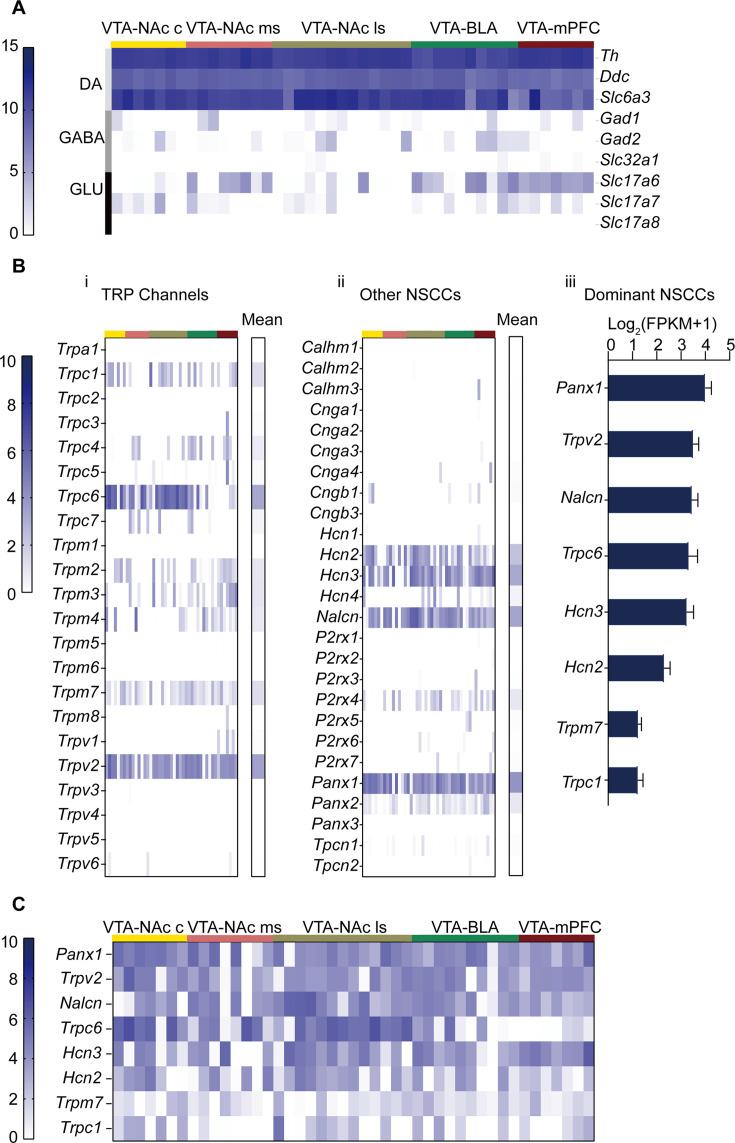 https://cdn.ncbi.nlm.nih.gov/pmc/blobs/92de/11623934/e49cfef5ee97/elife-88319-fig2.jpg