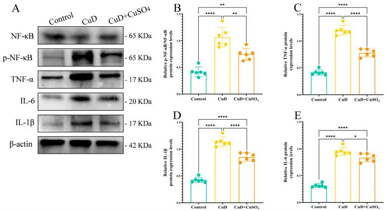 https://cdn.ncbi.nlm.nih.gov/pmc/blobs/92de/11722843/16d20f8a3db9/nutrients-17-00117-g006.jpg