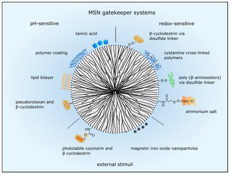 https://cdn.ncbi.nlm.nih.gov/pmc/blobs/92e0/5535255/273cc962ccd7/nanomaterials-07-00189-g002.jpg