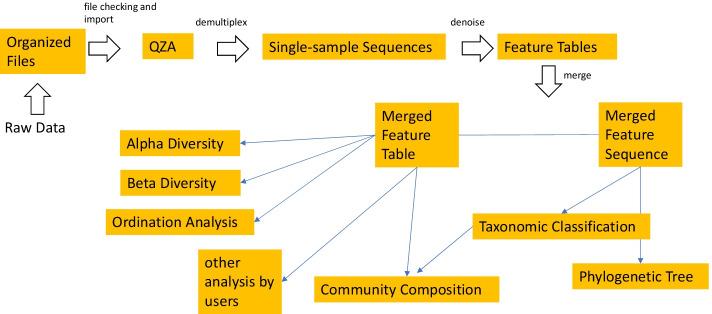 https://cdn.ncbi.nlm.nih.gov/pmc/blobs/92e1/8740450/8cbc37cefbfb/12859_2021_4555_Fig1_HTML.jpg