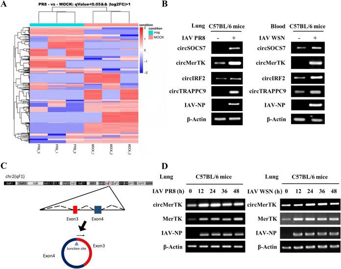 https://cdn.ncbi.nlm.nih.gov/pmc/blobs/92e2/10100971/f80653ffd3e3/spectrum.03637-22-f001.jpg