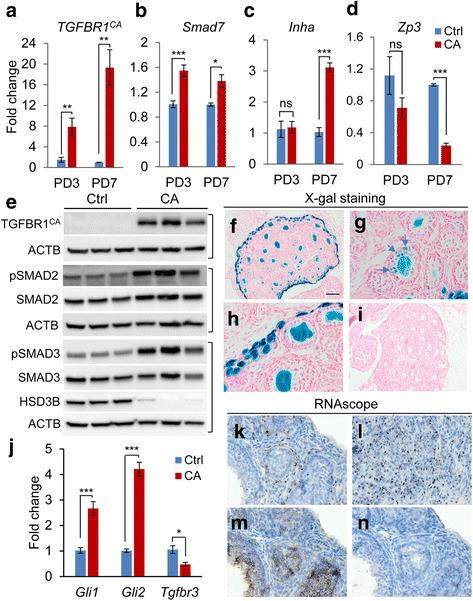 https://cdn.ncbi.nlm.nih.gov/pmc/blobs/92e2/5723096/e4b468d0e887/12958_2017_312_Fig7_HTML.jpg