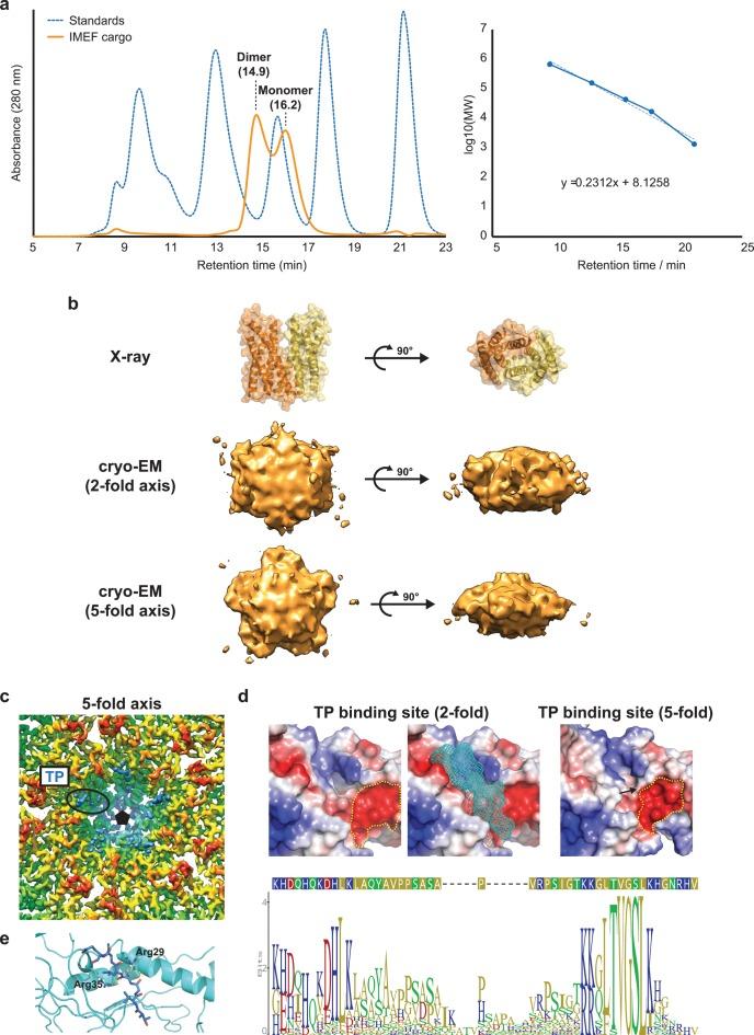 https://cdn.ncbi.nlm.nih.gov/pmc/blobs/92e4/6668986/17bb44832851/elife-46070-fig3-figsupp1.jpg