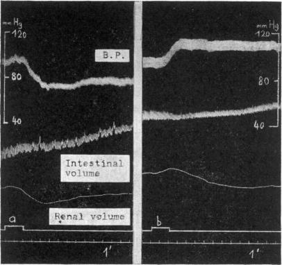 https://cdn.ncbi.nlm.nih.gov/pmc/blobs/92e6/1509327/c70663142d2b/bripharmchem00126-0091-a.jpg