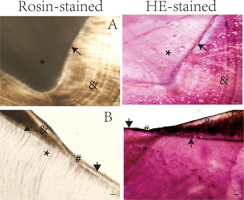 https://cdn.ncbi.nlm.nih.gov/pmc/blobs/92e8/10150715/d1dd5f5ac687/peerj-11-15240-g002.jpg