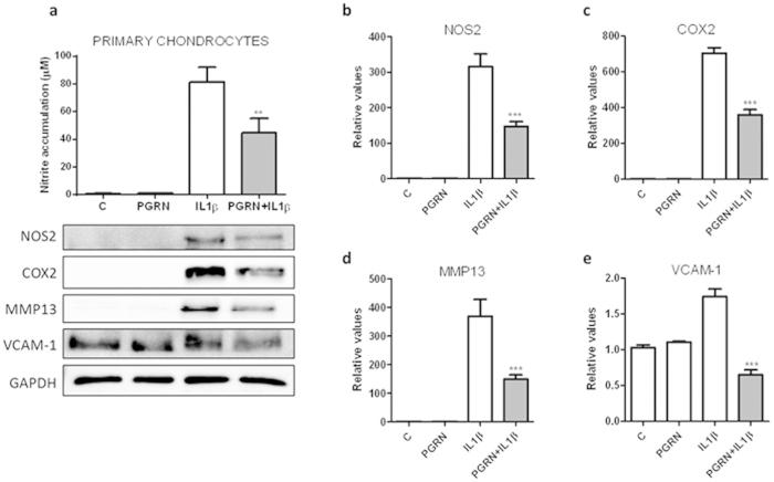 https://cdn.ncbi.nlm.nih.gov/pmc/blobs/92e9/4745010/572dff166112/srep20356-f4.jpg