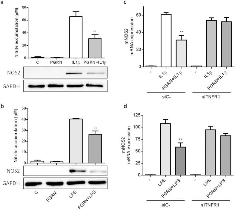 https://cdn.ncbi.nlm.nih.gov/pmc/blobs/92e9/4745010/879387eb22e5/srep20356-f5.jpg