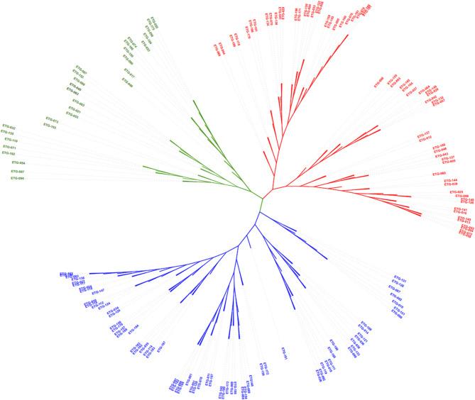 https://cdn.ncbi.nlm.nih.gov/pmc/blobs/92ea/12257767/3ee668b9db70/12870_2025_6889_Fig5_HTML.jpg