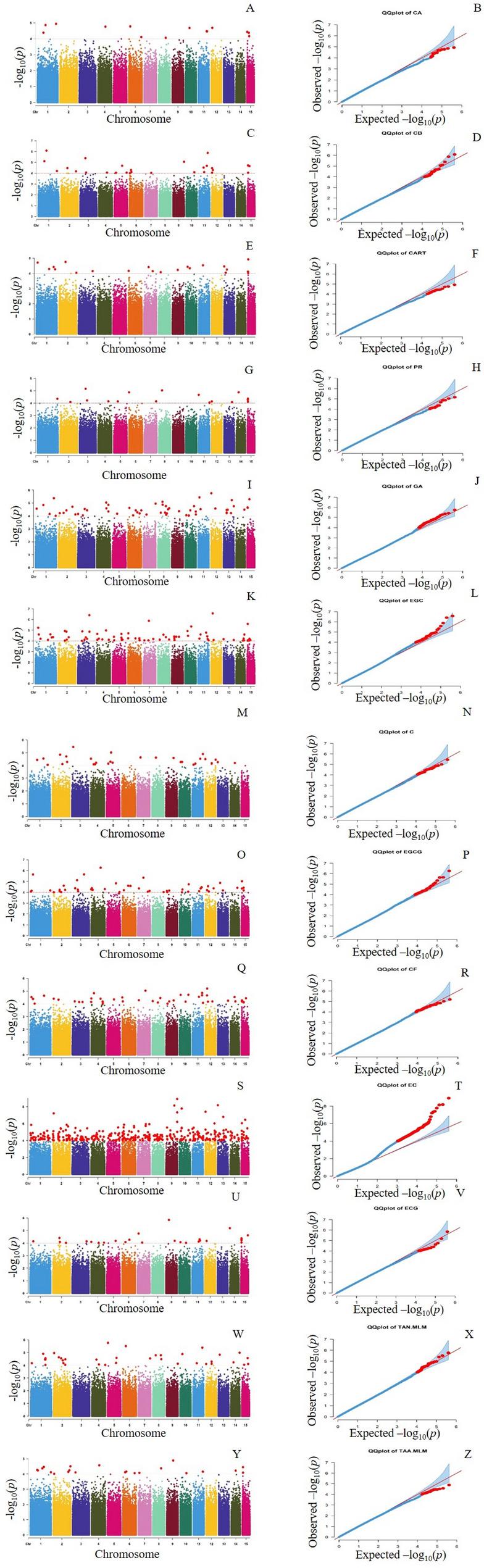 https://cdn.ncbi.nlm.nih.gov/pmc/blobs/92ea/12257767/62bd3513c22b/12870_2025_6889_Fig7_HTML.jpg