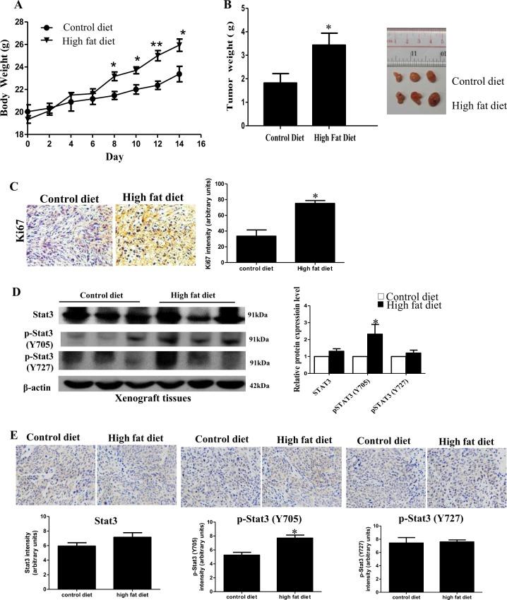 https://cdn.ncbi.nlm.nih.gov/pmc/blobs/92eb/6717738/5ef3db49968b/41419_2019_1842_Fig1_HTML.jpg
