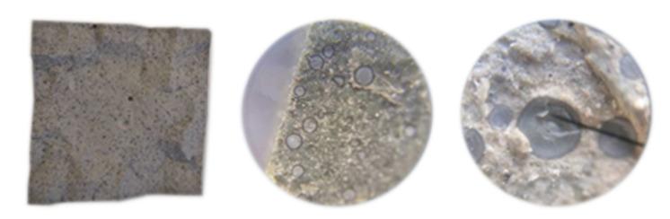 https://cdn.ncbi.nlm.nih.gov/pmc/blobs/92eb/8002274/e0347b344645/materials-14-01448-g008.jpg