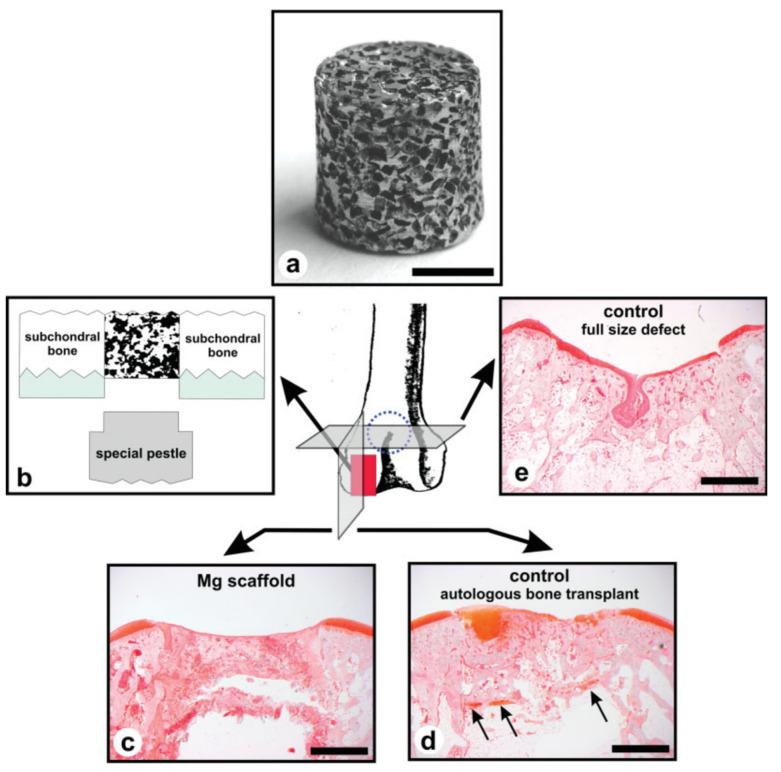 https://cdn.ncbi.nlm.nih.gov/pmc/blobs/92ec/10742271/4e7ca25417f0/biomimetics-08-00618-g011.jpg