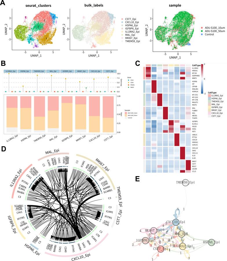 https://cdn.ncbi.nlm.nih.gov/pmc/blobs/92ec/12188665/9291b2b81696/12935_2025_3816_Fig2_HTML.jpg
