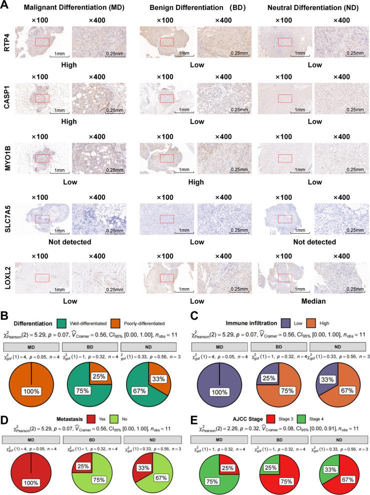 https://cdn.ncbi.nlm.nih.gov/pmc/blobs/92ec/12188665/daeab6cd65f8/12935_2025_3816_Fig7_HTML.jpg