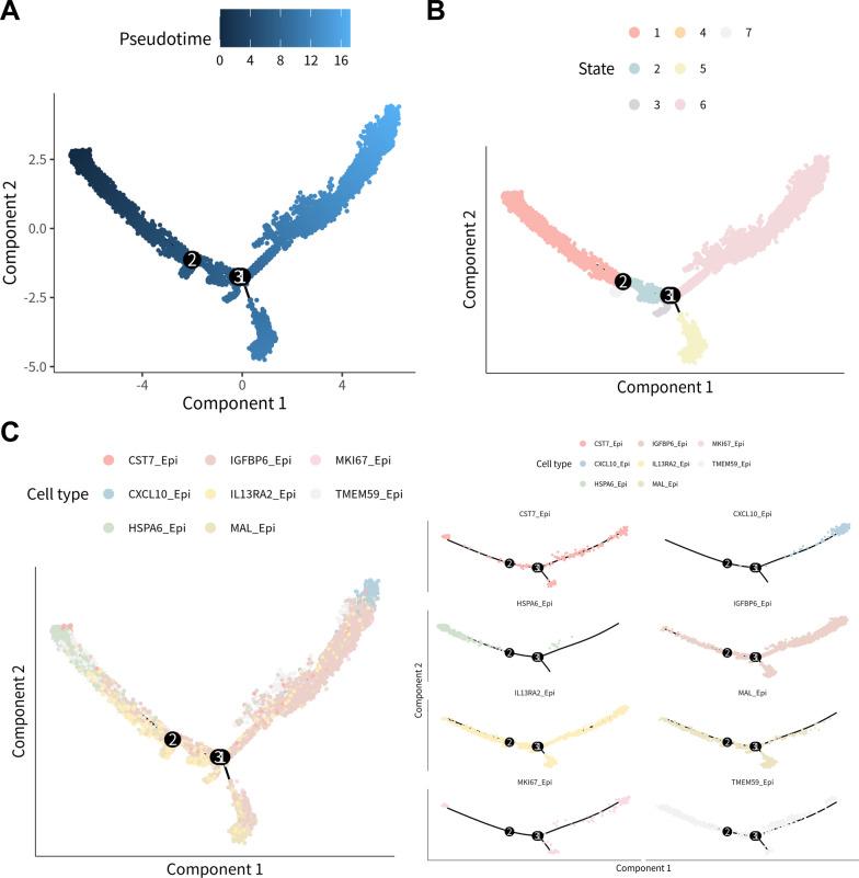 https://cdn.ncbi.nlm.nih.gov/pmc/blobs/92ec/12188665/feb55d68c324/12935_2025_3816_Fig3_HTML.jpg