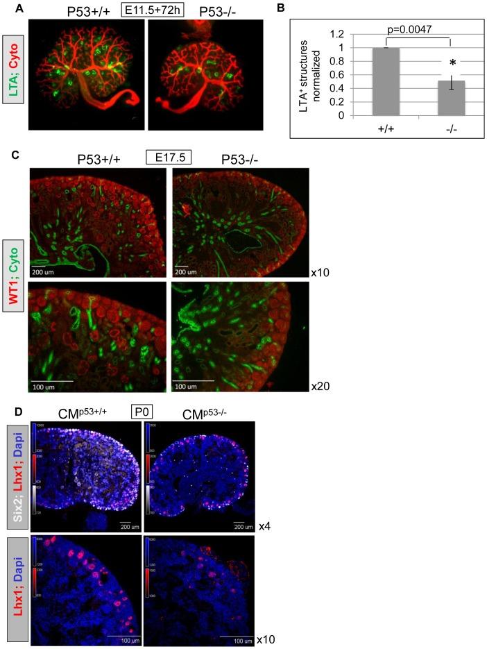 https://cdn.ncbi.nlm.nih.gov/pmc/blobs/92f0/3440354/22209289082e/pone.0044869.g001.jpg