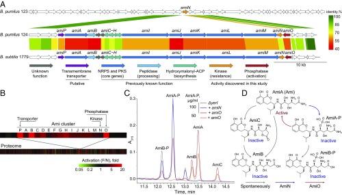 https://cdn.ncbi.nlm.nih.gov/pmc/blobs/92f0/6156654/94c46bbbdd40/pnas.1811250115fig02.jpg