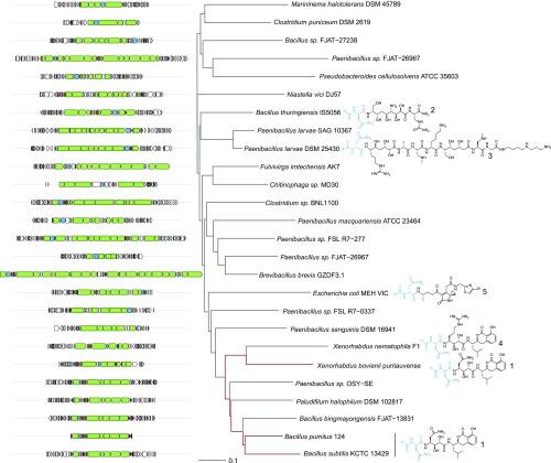 https://cdn.ncbi.nlm.nih.gov/pmc/blobs/92f0/6156654/f26382343b0c/pnas.1811250115fig03.jpg