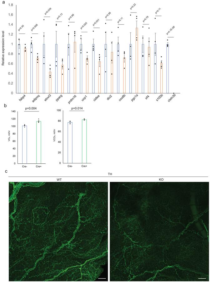 https://cdn.ncbi.nlm.nih.gov/pmc/blobs/92f3/6589139/084ff3111c90/nihms-1526202-f0010.jpg