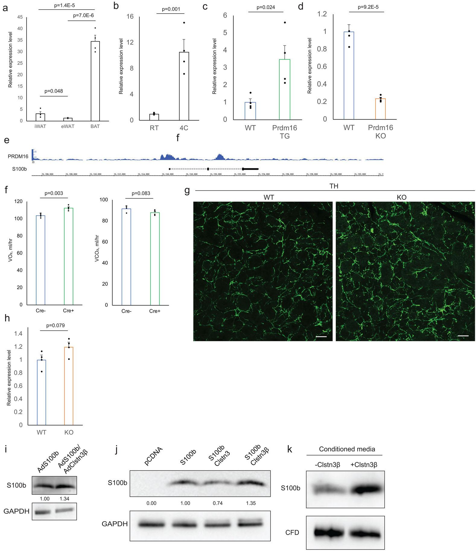 https://cdn.ncbi.nlm.nih.gov/pmc/blobs/92f3/6589139/b069a6d3c651/nihms-1526202-f0012.jpg