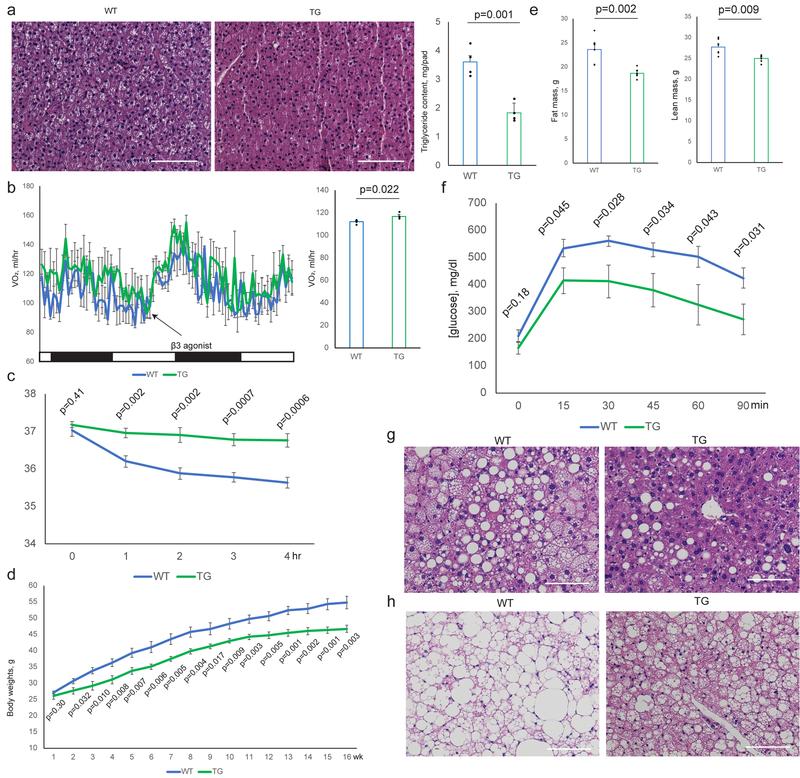 https://cdn.ncbi.nlm.nih.gov/pmc/blobs/92f3/6589139/d7893d27cb83/nihms-1526202-f0004.jpg