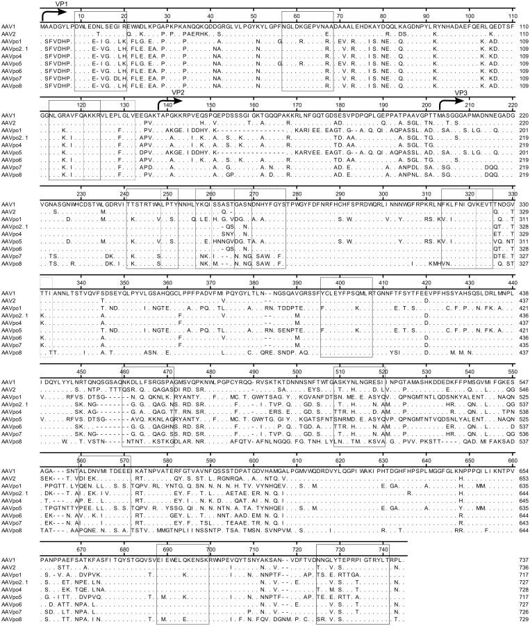 https://cdn.ncbi.nlm.nih.gov/pmc/blobs/92f5/4205840/40134bd12a55/srep06644-f3.jpg