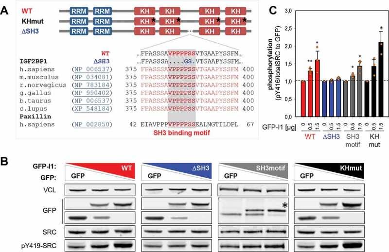 https://cdn.ncbi.nlm.nih.gov/pmc/blobs/92f6/7951963/e08b03395c30/KRNB_A_1812894_F0004_C.jpg