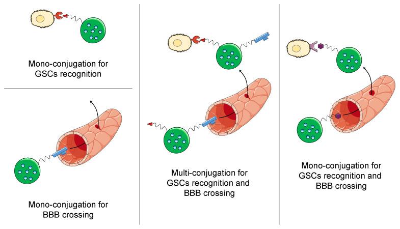 https://cdn.ncbi.nlm.nih.gov/pmc/blobs/92f7/7792799/a1415a60f677/cancers-13-00009-g004.jpg