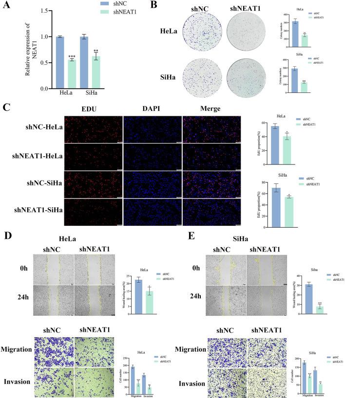 https://cdn.ncbi.nlm.nih.gov/pmc/blobs/92f8/12092591/0a827c68e003/41598_2025_1698_Fig2_HTML.jpg