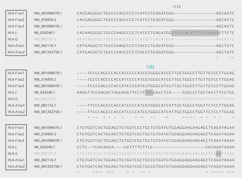 https://cdn.ncbi.nlm.nih.gov/pmc/blobs/92f9/7647720/cfb3b2c418d6/10-1055-a-1128-6664-igf02.jpg