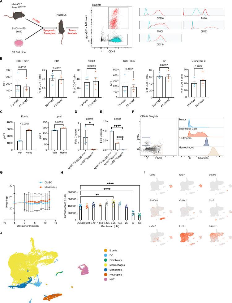 https://cdn.ncbi.nlm.nih.gov/pmc/blobs/92fa/11457473/7c9af4976f75/JEM_20230420_FigS4.jpg