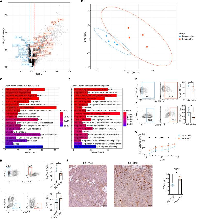 https://cdn.ncbi.nlm.nih.gov/pmc/blobs/92fa/11457473/ee222866a0d8/JEM_20230420_Fig6.jpg