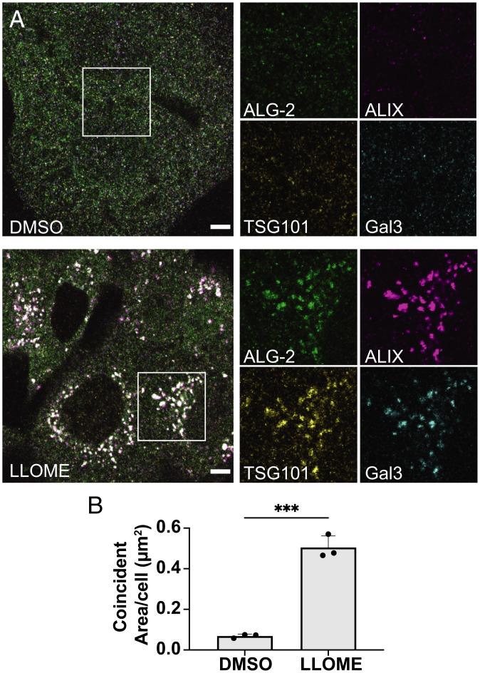 https://cdn.ncbi.nlm.nih.gov/pmc/blobs/92fb/9436306/7d48bc6b2acf/pnas.2205590119fig05.jpg