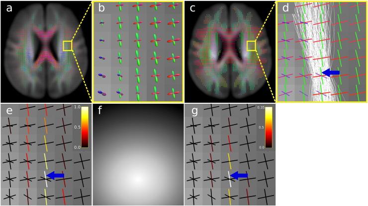 https://cdn.ncbi.nlm.nih.gov/pmc/blobs/92ff/4528070/ba77cc447f2c/gr2.jpg