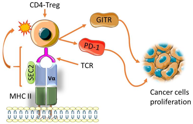 https://cdn.ncbi.nlm.nih.gov/pmc/blobs/9300/8945019/ba4a0ee2174c/biomedicines-10-00682-g006.jpg