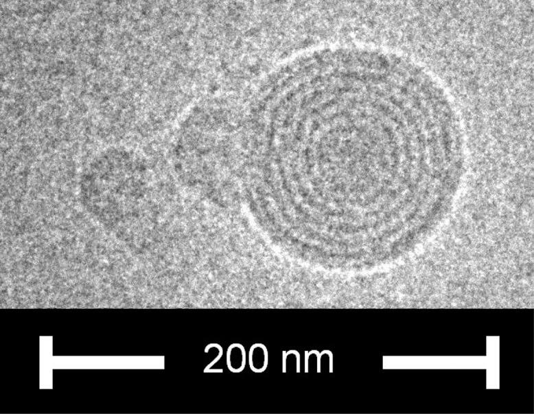 https://cdn.ncbi.nlm.nih.gov/pmc/blobs/9305/3495574/a92147b3731f/mp-2012-00435x_0012.jpg