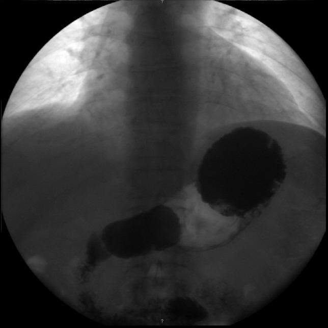 https://cdn.ncbi.nlm.nih.gov/pmc/blobs/9305/6105112/a6d175b19c9e/rjy227f05.jpg