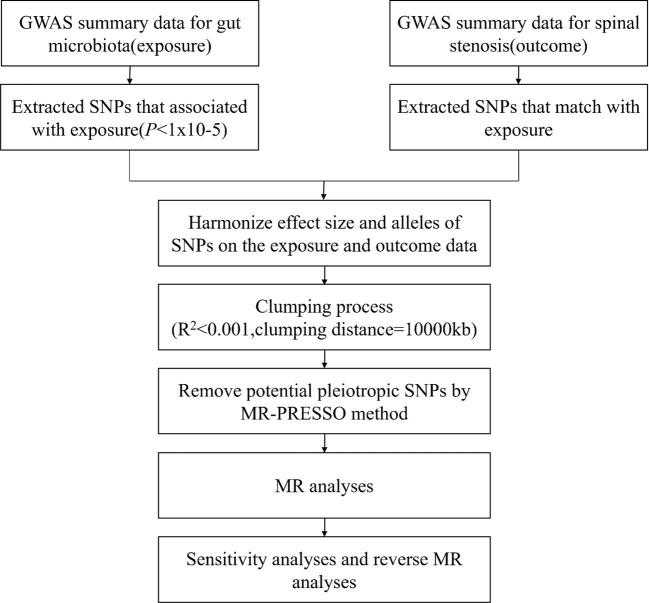 https://cdn.ncbi.nlm.nih.gov/pmc/blobs/930a/11066289/16d36a2c3eb6/fimmu-15-1360132-g002.jpg