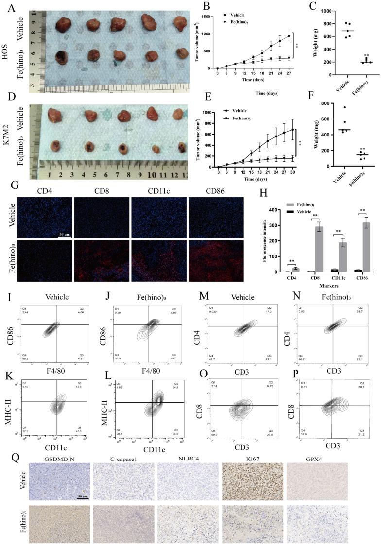 https://cdn.ncbi.nlm.nih.gov/pmc/blobs/930a/12374815/9d6ede5f50c3/ijbsv21p4872g010.jpg