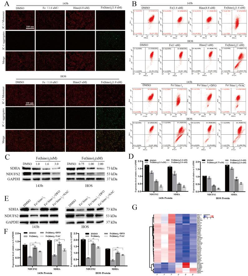 https://cdn.ncbi.nlm.nih.gov/pmc/blobs/930a/12374815/ab29469b16e5/ijbsv21p4872g003.jpg