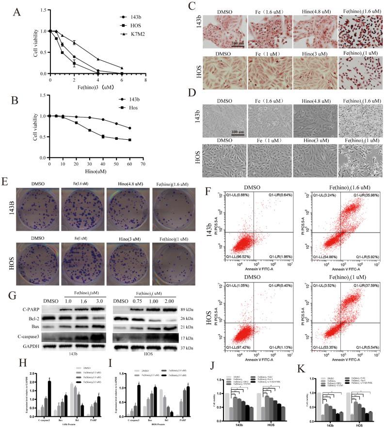 https://cdn.ncbi.nlm.nih.gov/pmc/blobs/930a/12374815/d1579a5de8da/ijbsv21p4872g002.jpg