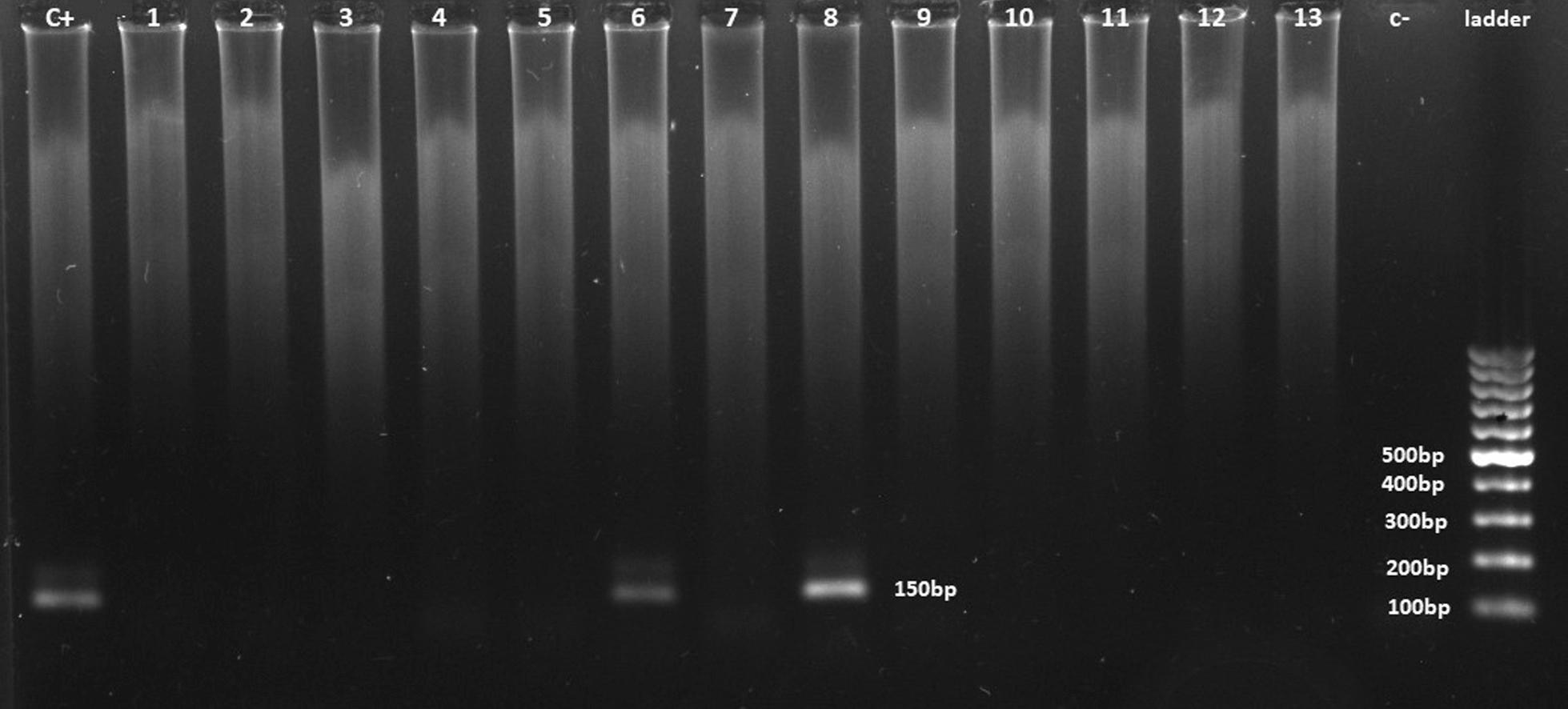 https://cdn.ncbi.nlm.nih.gov/pmc/blobs/930a/7821692/892f65519586/12985_2021_1498_Fig2_HTML.jpg
