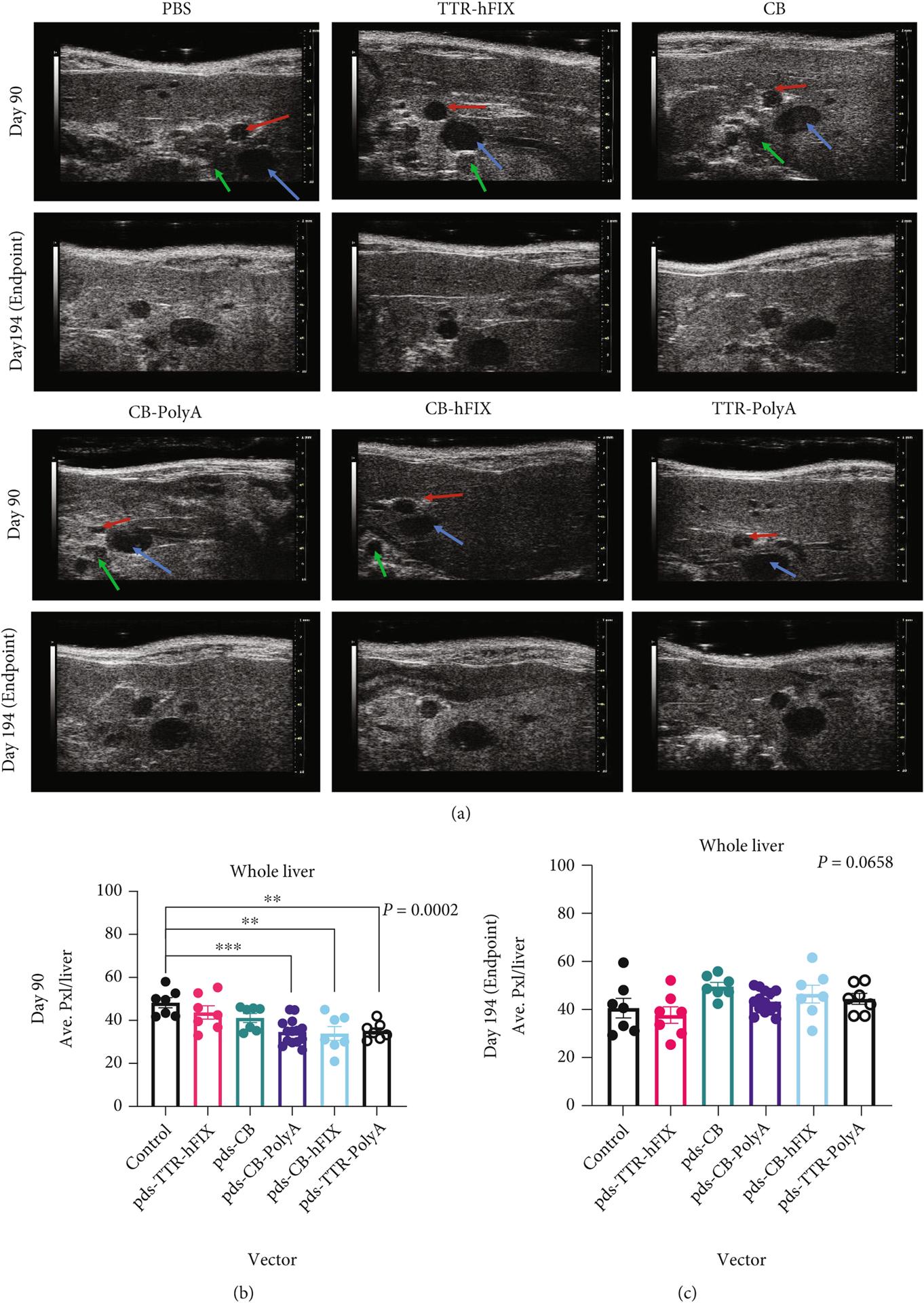 https://cdn.ncbi.nlm.nih.gov/pmc/blobs/930a/9730939/304951022af7/nihms-1853850-f0002.jpg