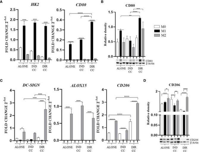 https://cdn.ncbi.nlm.nih.gov/pmc/blobs/930b/11499095/396b50ca1487/fimmu-15-1440974-g004.jpg