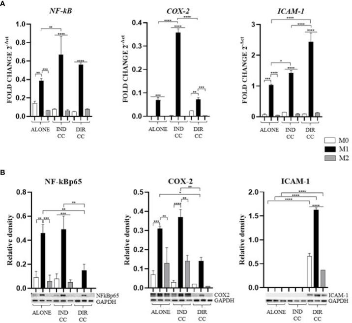 https://cdn.ncbi.nlm.nih.gov/pmc/blobs/930b/11499095/46554a753ba6/fimmu-15-1440974-g005.jpg