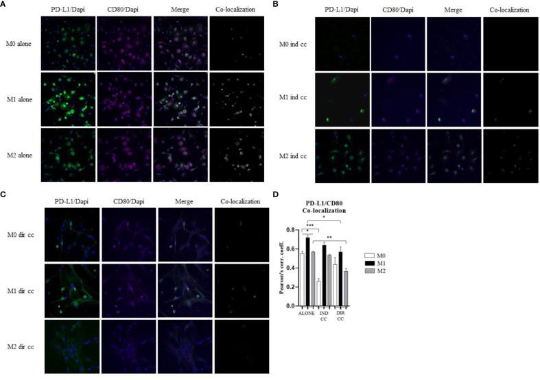 https://cdn.ncbi.nlm.nih.gov/pmc/blobs/930b/11499095/5e874077ab52/fimmu-15-1440974-g009.jpg