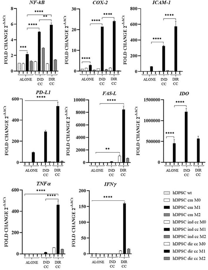 https://cdn.ncbi.nlm.nih.gov/pmc/blobs/930b/11499095/8d4d30317a48/fimmu-15-1440974-g010.jpg