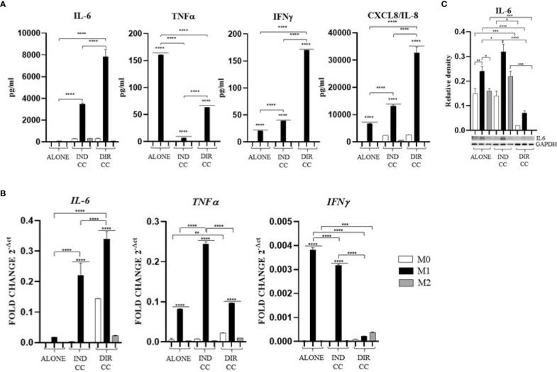 https://cdn.ncbi.nlm.nih.gov/pmc/blobs/930b/11499095/cde3990f2381/fimmu-15-1440974-g007.jpg