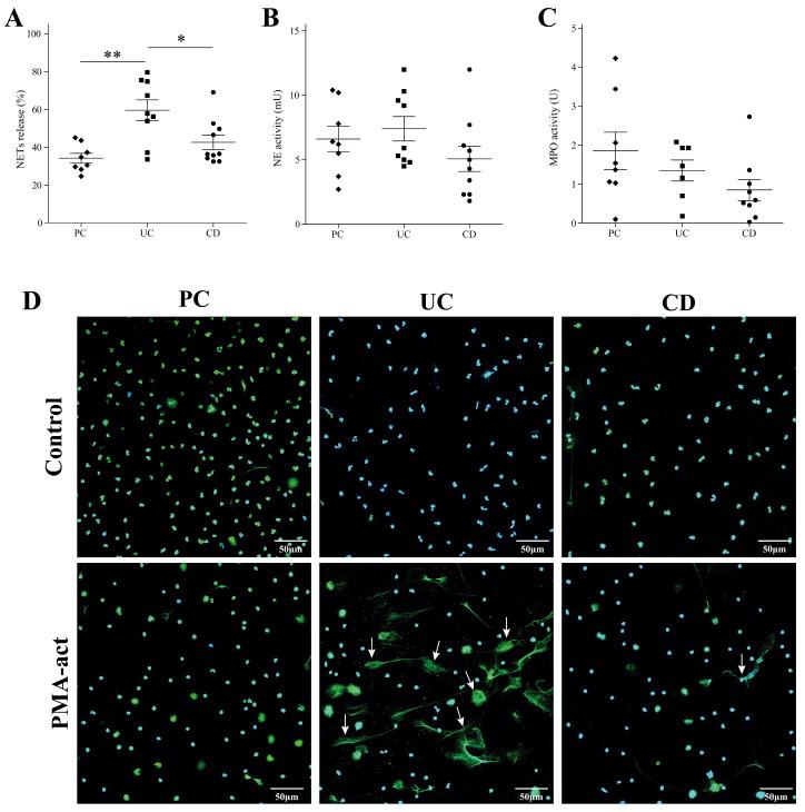 https://cdn.ncbi.nlm.nih.gov/pmc/blobs/930c/11507660/6821a1ed0311/ijms-25-11126-g004.jpg