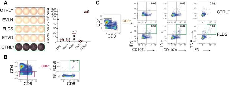https://cdn.ncbi.nlm.nih.gov/pmc/blobs/9312/12080555/2663cba51e1d/vdae226_fig6.jpg
